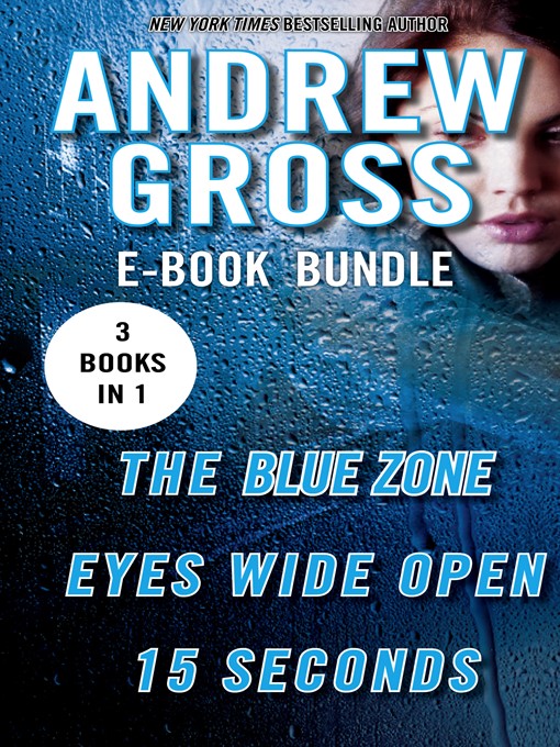 Title details for Andrew Gross Thriller Bundle by Andrew Gross - Wait list